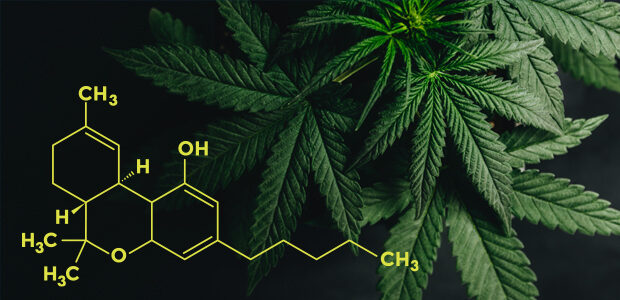 How Long Does THC Stay in Your System? A Practical Drug Test Guide