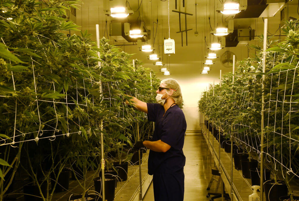 Virginia Marijuana Sales Bill Advances: House and Senate Move Forward on Recreational Cannabis Retail Framework (January 2026 Update)