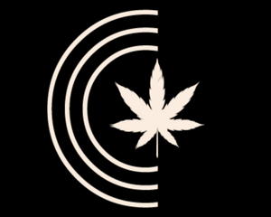 Chester Cannabis Co. 